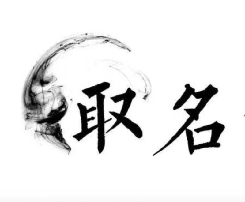  新沂宝宝取名 大师一对一人工起名